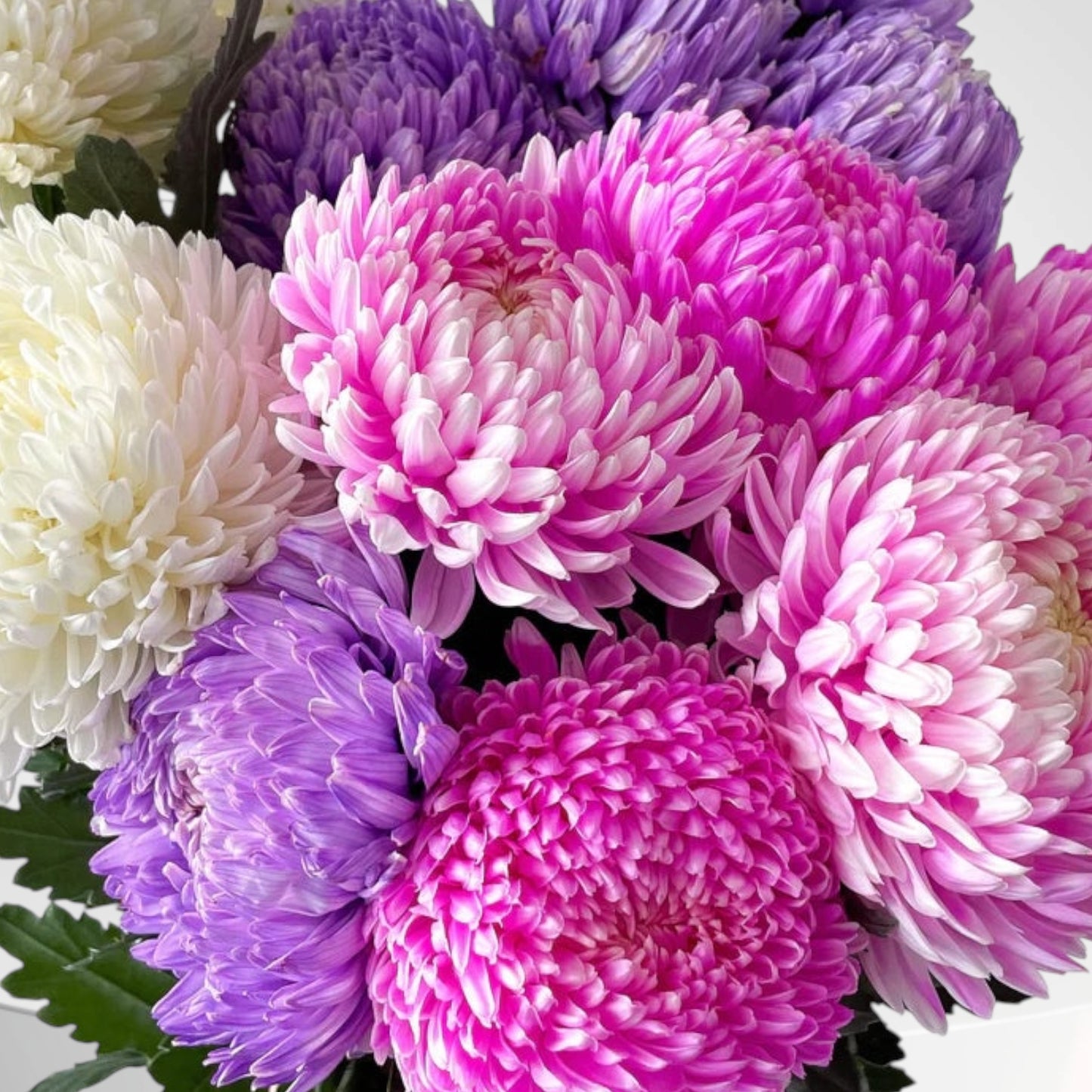 All for Mum