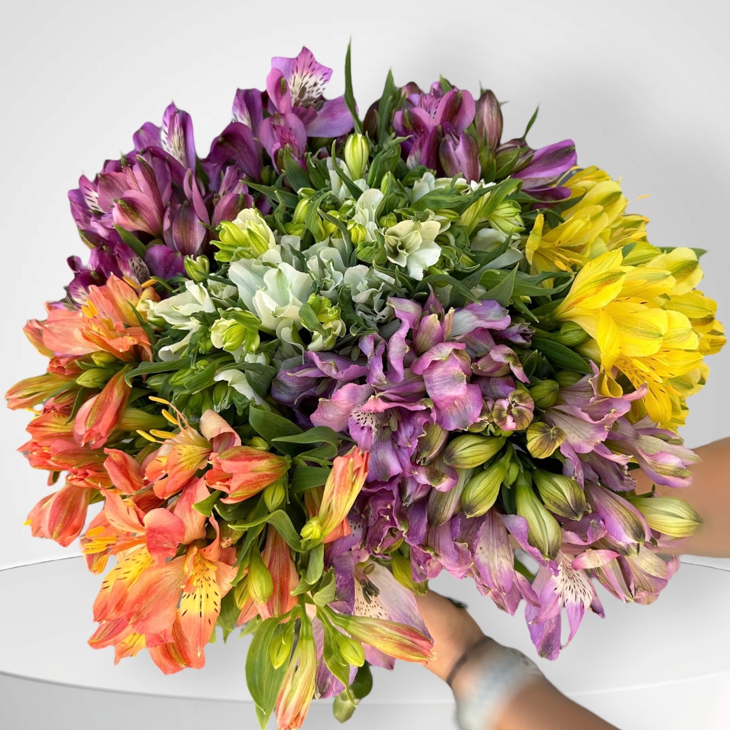 Spring Spendour