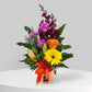 Daily Delight
