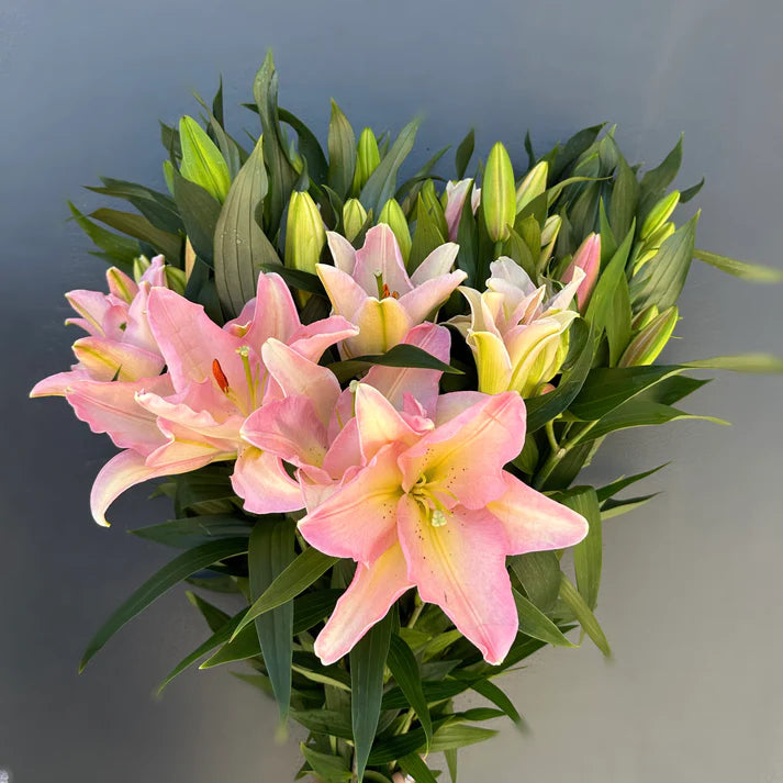 Glamorous Lilies